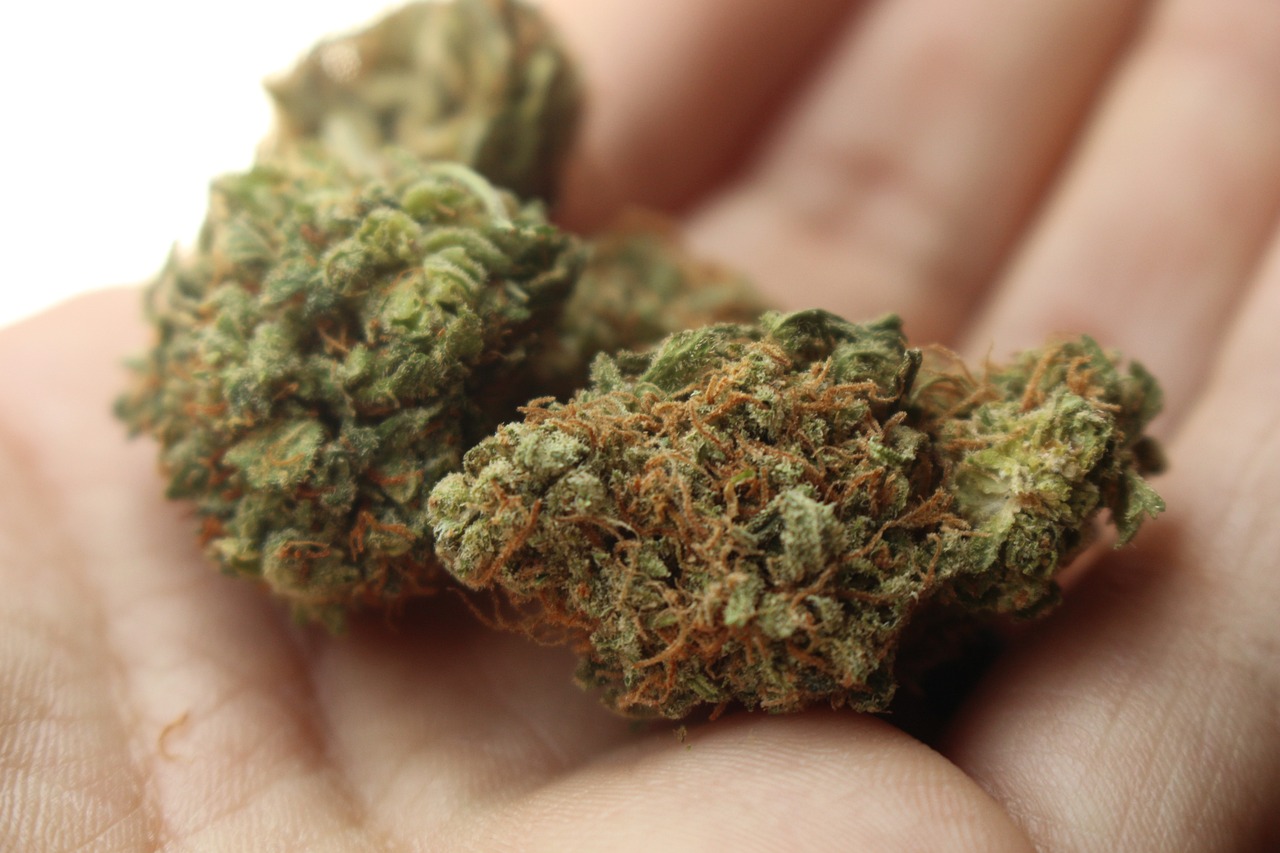weed